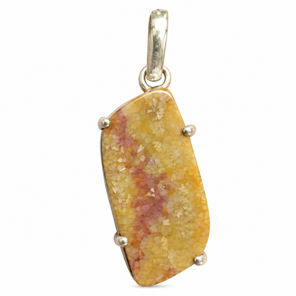 Fossil Coral Pendant | Natural Stone Modern Jewelry Gift PEN795-SLV-NFC01